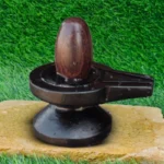 Original Narmadeshwar Shivling Stone Jaladhari