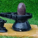 Narmada Shivling