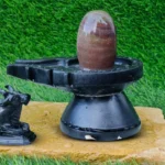Narmadeshwar Shivling Jaladhari