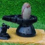 Narmadeshwar Stone Shivling & Jaladhari