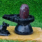 Narmadeshwar Shivling Original