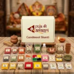 GandmoolShanti